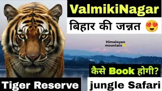 Valmiki Nagar Tiger Reserve Bihar Complete Guide 2026 | Jungle Safari Booking, Valmiki Ashram