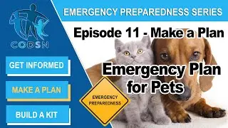 Emergency Preparedness Plan for Pets | CODSN
