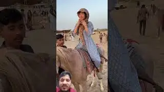 Foreign Tourists Riding Horses in Rajasthan Rajasthani tourism 🐎 #HorseRide 😄