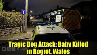 Tragic Dog Attack: Baby Killed in Rogiet, Wales | Police Investigation