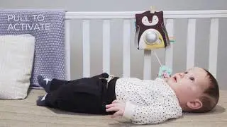 Taf Toys Prince the Penguin Baby Soother