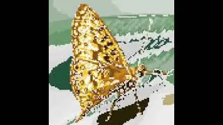 Butterfly🦋#anime #cover #manga #music #family #kpop #gaming#holiday #a4omg#pixel#pokemon#picture