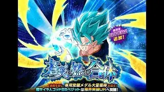 BLAZING BLUE FUSION!VEGITO BLUE TEQ BOSS FIGHT  | Dbz Dokkan Battle