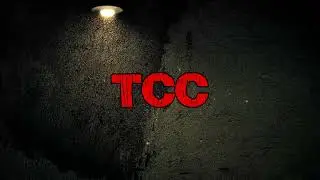 (CVA Reuploaded) New Zealand Terror Attack Discussion Part 2