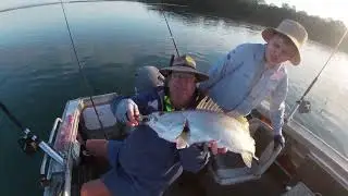 Mulloway and snapper in Pumicestone Passage
