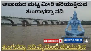 TUNGABHADRA RIVER HARIHAR ತುಂಗಭದ್ರಾ ನದಿ ಹರಿಹರ  #Tungabhadra #river #tunga #bhadra  #water #dam #new 