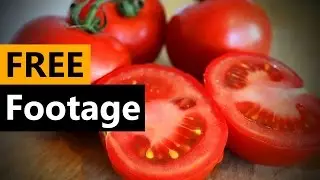 Tomatoes Compliation- FREE Stock Video Footage [Download Full HD]
