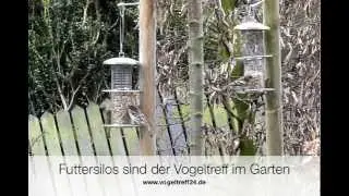 Silo Edelstahl Futtersilo für loses Vogelfutter Futterspender Futterplatz Futterhaus Vogelfutterhaus
