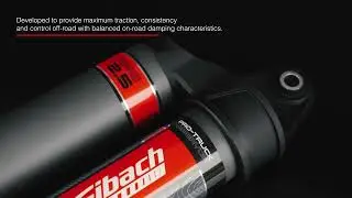 Introducing - Eibach Stage 3R