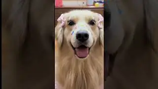 Let animals show you the importance of false eyelashes😘😘
