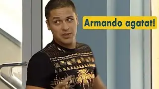 Armando la agatat! --- Viziru in serialul REGINA