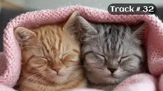 [Sleepy Cats Piano #32] Soft Piano for Stress-Free Cat Evenings