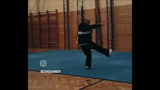 Fanzi quan 