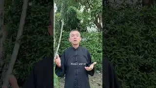 Жёлчный пузырь работает слабо? Мягкий запуск.  #qigong #holistichealth #дыхание #цигун #саморазвитие