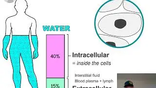 CG BIO202 / online - Wk 11: Fluid, Electrolyte, and pH Balance