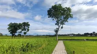 Menikmati suasana pagi