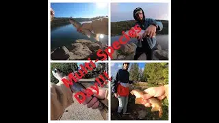 Fishing the Grand Mesa for Wild, High elevation Trout!! MULTI SPECIES DAY!!