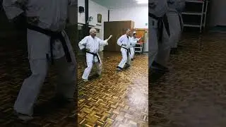 Old Man Naihanchi Shodan #karate #karatejutsudojosociety #grumpyoldkaratedweeb
