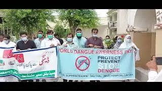 World Dengue Awareness Day || Awareness Walk at THQ Thal Hospital Layyah