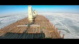 Timelapse of log carrier from New Zealand to China