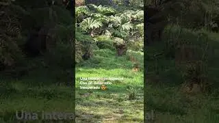 Una interacci&oacute;n especial con un desarrollo inesperado.