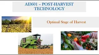 Optimal stage of Harvest  #agriculturalengineering #farming #agriculture #postharvest #cultivation
