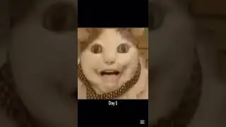 Бу испугался не бойся