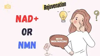 NAD or NMN: Which Supplement is Better for Body Rejuvenation?