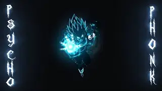 X-WAYNE, SH3TLVIZ, SLEEPYH&Xi;AD &mdash; RAMPAGE 2 ※ Psycho Phonk Playlist