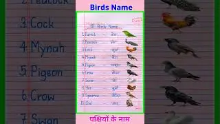 10 Birds Name in English and Hindi | Birds Name in English | Pakshiyon ke naam | Birds Name #shorts