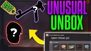 [TF2] A Subscriber Sent Me 25 Cases And THIS happened... (UNUSUAL + ELITE GRADE)