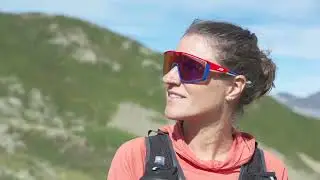 Trail et chiens de protection