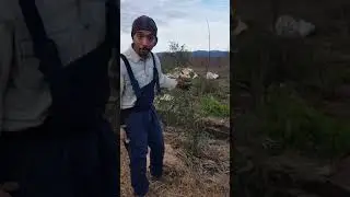 Ένας χρόνος Βρώσιμο Δάσος / One year old Food Forest
