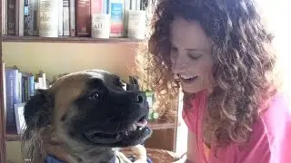Making Extra Money: Pet Sitting
