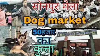 Sonpur mela 2022|Dog Market in sonpur mela 2022||Nadaniya Vlogs||Sonpur mela.