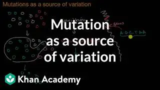 Mutation as a source of variation | Gene expression and regulation | AP Biology | Khan Academy