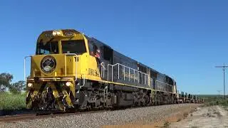DR1564 and DR1565 on 5Rt1 rail Arrino