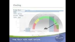 Selltis webinar: Using charts for goal tracking