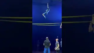 cleanest landing🕴️#Alegria | Cirque du Soleil