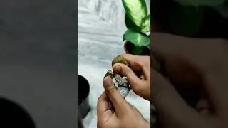Flower pot diy #youtubeshorts #shorts #clayart #fevicrylmouldit #diygardendecor #gardendecor #DIY