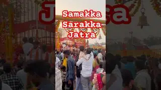 Medaram samakka sarakka jatra | #samakkasarakka #medaramjatara #telangana #asia #indianfestival