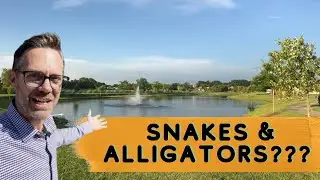 PROS and CONS of living on a RETENTION POND | 2022