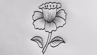 🌸🌸Daffodil Flower Drawing || How to Draw Daffodil Flower Step By Step || Easy Flowers Drawing💮💮