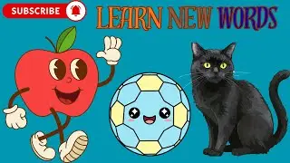 Learn New Words for Kids | A for Apple, B for Ball | ABC Vocabulary | Jolly ABC TV