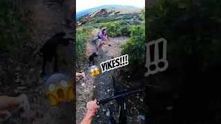 Almost smoked a hiker/dog!! Sorry!!!!!!