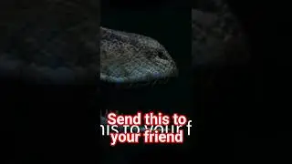 #jurassicworld #tlwjp