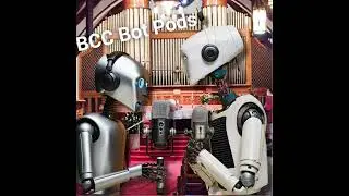 hanna and the borg re compensatory