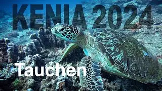 Kenia 2024 - Watamu Marine Nationalpark - Tauchen | Die Brinkmanns