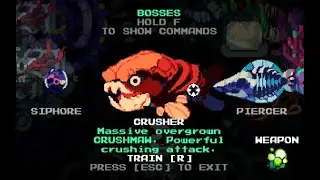 Astronautilus All Bosses No Miss No Bomb