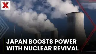 Japan restarts Tepco reactor first since Fukushima disaster | NewsX World